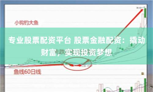 专业股票配资平台 股票金融配资：撬动财富，实现投资梦想