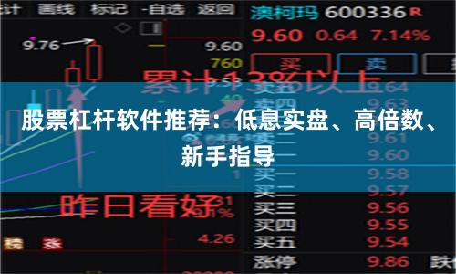 股票杠杆软件推荐：低息实盘、高倍数、新手指导